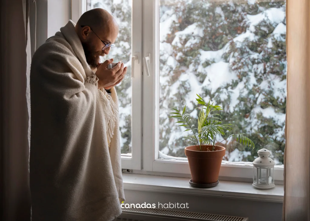 fenetre menuiserie maison canadas habitat